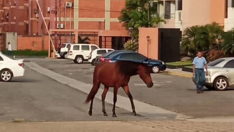 WhatsApp-Image-2023-10-20-at-7.31.35-AM