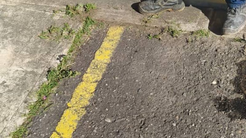 maleza-estacionamiento